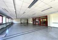 EG Showroom mitten im Industriezentrum unweit von Inzersdorf zu mieten