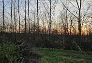 Überwiegend landwirtschaftlicher Grund mit Teilflächen in unterschiedlicher Widmung in der Ennser Kronau