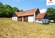 ehemaliger Bauernhof bei Gleisdorf | viel Platz für viele Möglichkeiten | 5.000 m2 Bauland (WA 0,2-0,4)