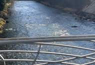 SPITZENLAGE Wohnung und Garage - ruhig am Park und doch zentral