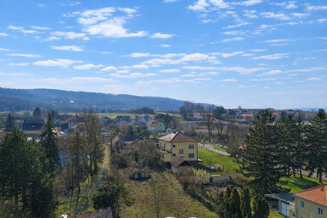 "Am Fuße des Bisambergs: großes Grundstück mit Bungalow und XXL-Garage"