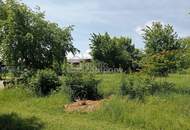 Grundstück am Zicksee im Burgenland