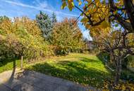 "Where the Alte Donau Becomes Home"