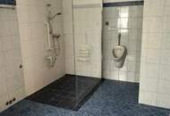 STRECKHOF IN DER THERMENREGION IM SÜDBURGENLAND!