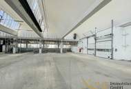 Günstige, teilbare Lagerhallen in Traismauer/NÖ zu vermieten!