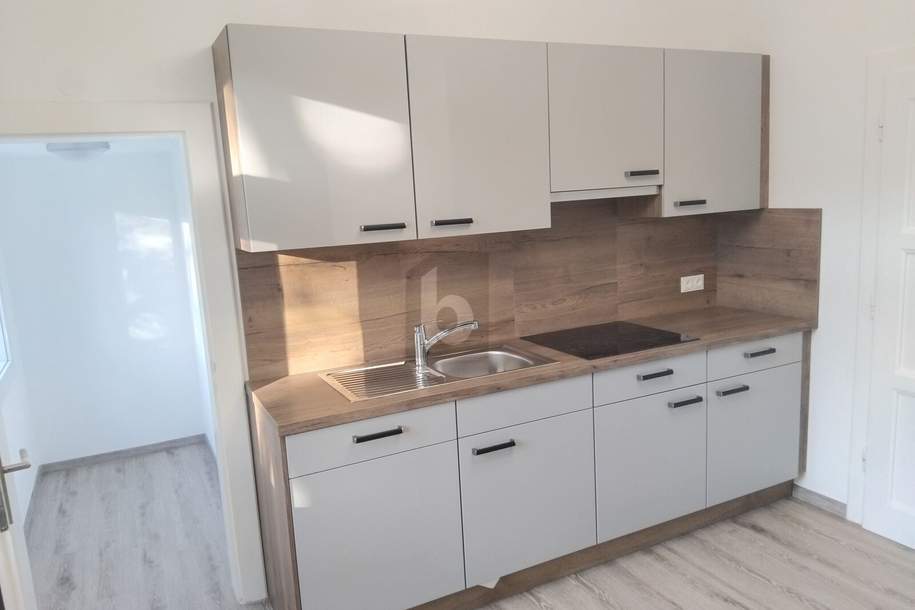 SEHR GUTE RAUMAUFTEILUNG IDEAL FÜR SINGLES ODER PAARE, Wohnung-kauf, 178.000,€, 9300 Sankt Veit an der Glan