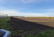 "BAUhoffnungsTELEFON"