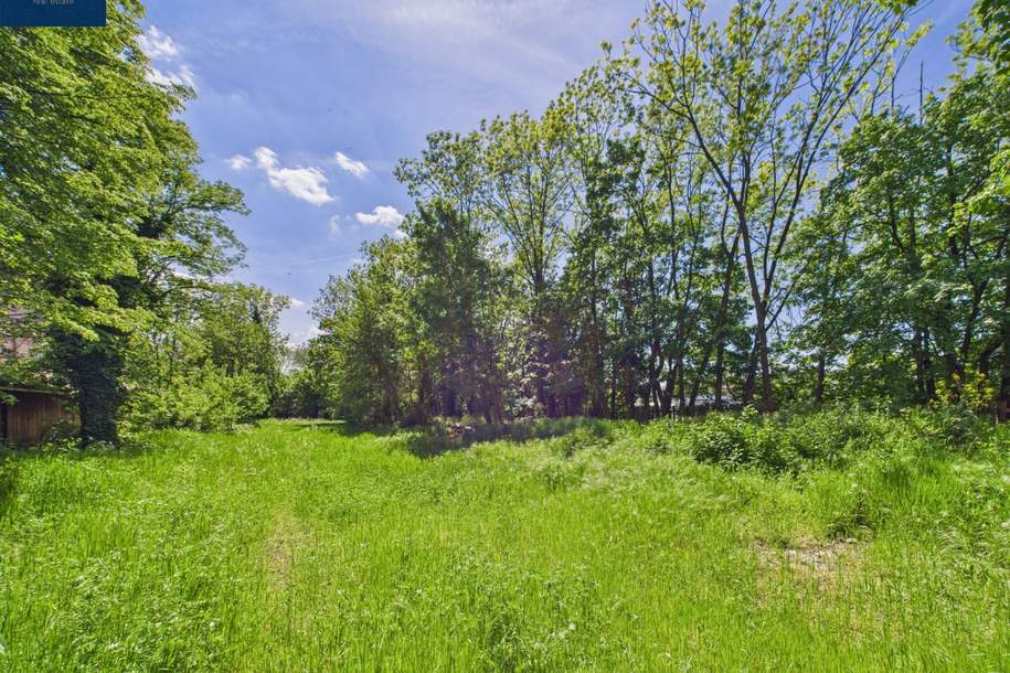 Exklusiver Bauplatz 2 - 502 m² - in NEUNKIRCHEN - Entwicklungsobjekt in Bestlage, Grund und Boden-kauf, 250.000,€, 2620 Neunkirchen