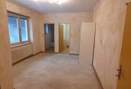 2014 Puch - Bauernhof für Wohnen und Gewerbe - 30 min von Wien !