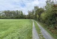 Natur pur