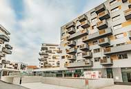 Stadlauer Straße 64, 1220 Wien