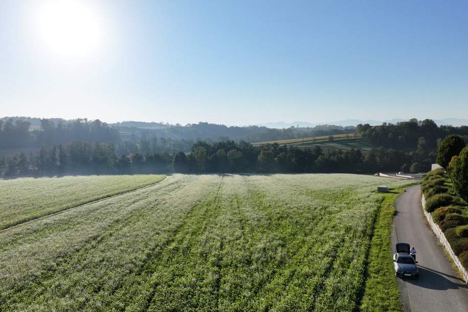 Großes Betriebsbaugrundstück in 4600 Thalheim bei Wels – Top Lage!, Grund und Boden-kauf, 5.067.825,€, 4600 Wels-Land