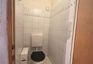 Helle und ruhige 3-Zimmer Wohnung mit Loggia bei der oberen alten Donau
