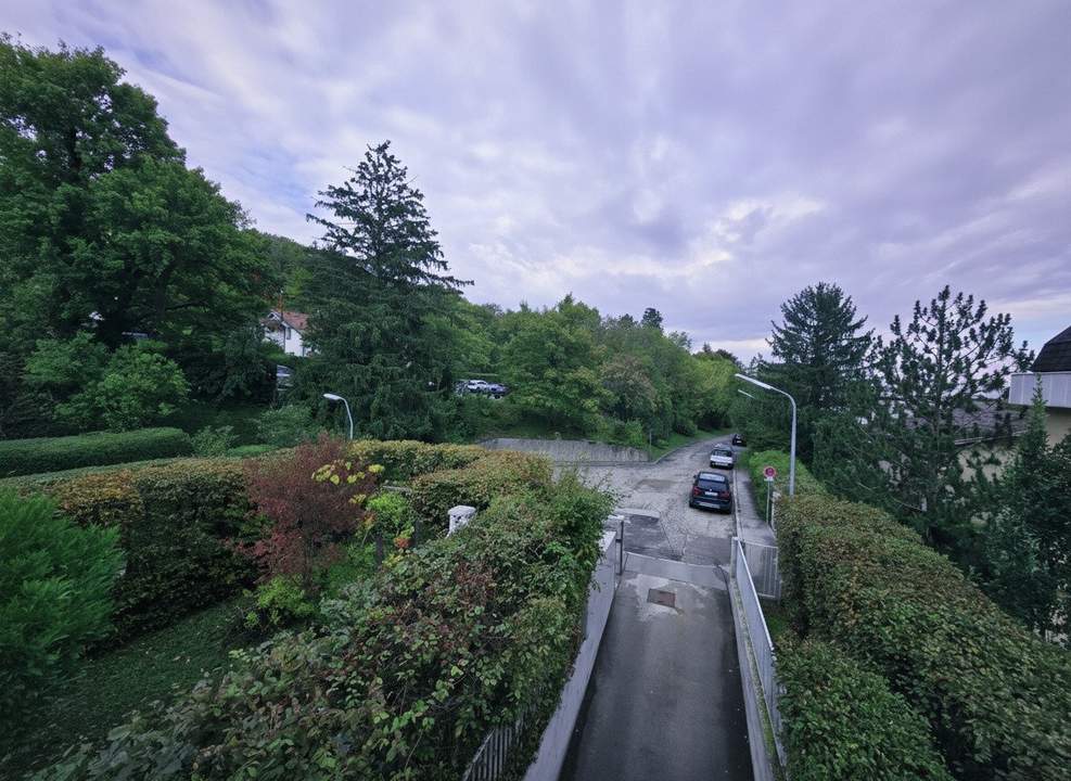 Charmante 3- Zimmer Wohnung Nähe Lainzer Tiergarten Absolute Ruhelage