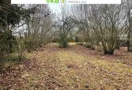 7050 m² gewidmete Baugrundstücke in Spattendorf – nahe Gallneukirchen