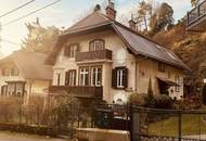 Jagdvilla aus 1910 - vollrenoviert - Top Ruhelage -10 Minuten zu Fuß in die Innenstadt von Baden