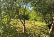 Haus mit Potential in Ruhelage – mit Garten und Nebengebäude Mietkauf möglich!