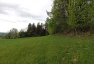 Wald und Wiese mit Hütte