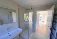 Prachtexemplar an der unteren alten Donau !