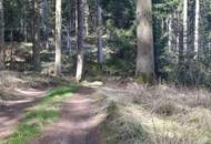 Wald