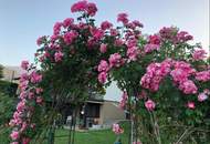 Traumlage über der Drau – Haus in Maria Elend