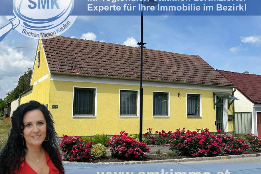Sensationeller Preis!, Haus-kauf, 160.000,€, 2023 Hollabrunn