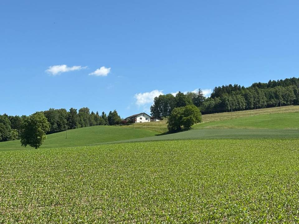 Großzügiges Zweifamilienhaus mit traumhaftem Fernblick in ruhiger Alleinlage