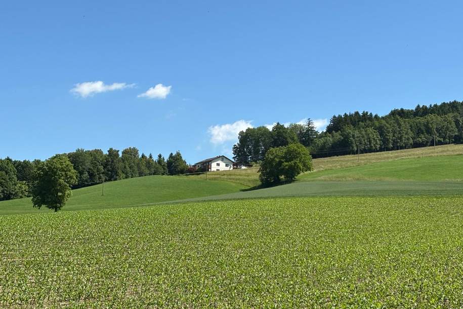 Großzügiges Zweifamilienhaus mit traumhaftem Fernblick in ruhiger Alleinlage, Haus-kauf, 450.000,€, 4776 Schärding