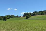 Großzügiges Zweifamilienhaus mit traumhaftem Fernblick in ruhiger Alleinlage
