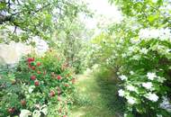 ANLEGERHIT MIT 3% RENDITE - OFFENES LOFT MIT SONNIGER TERRASSE IN ST. PÖLTEN