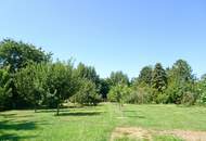 Historische Altbauvilla trifft auf modernen Luxus – Ihre private Residenz an der Leitha!