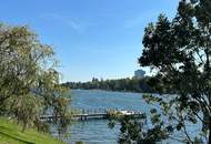 Gemütliche Mietwohnung nahe Obere Alte Donau - DG mit Terrassen