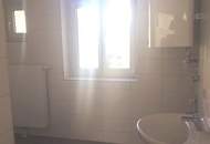 Wunderschöne helle 2-Zimmer komplett sanierte Altbauwohnung mit Ausblick an die Donau
