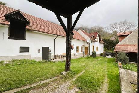 Bauernhof an der Hohen Wand!, Haus-kauf, 299.000,€, 2724 Wiener Neustadt(Land)