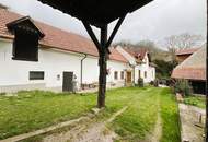 Bauernhof an der Hohen Wand!