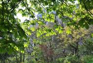 Gemütliche 2-Zimmer-Wohnung in 1100 Wien – Toplage für nur 986,73 € mtl.