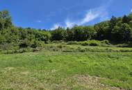 Bauland (ca. 8.700 m²) in herrlicher Panoramalage zu kaufen in Stattegg!