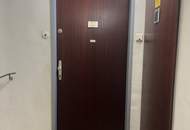 SANIERUNGSBEDÜRFTIGE 1-ZIMMER-WOHNUNG IN FAVORITEN