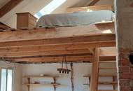 HISTORISCHER CHARME: BURGIDYLL - MODERNES DACH MIT ALTEN MAUERN IN MALERISCHER LANDSCHAFT