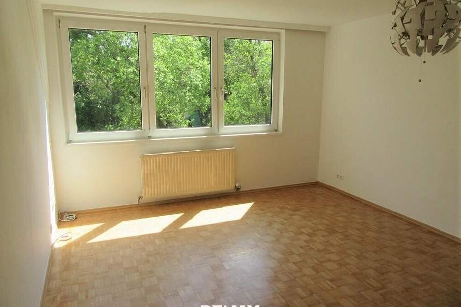 "Einfach zum Wohlfühlen!", Wohnung-miete, 910,00,€, 2344 Mödling