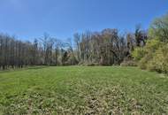 landwirtschaftlicher Grund mit Wald