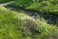 YOUR FINAL PLACE 1.642qm Idyllische Lage & GEB-Gebäude im Grünland