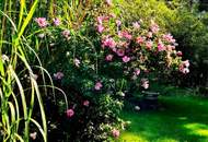 Pachtfläche in Ruhelage mit Gartenhäuschen und Teich