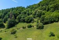 Großzügige Waldfläche nahe Thalersee