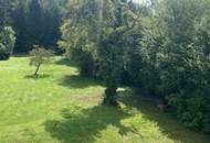 Ideal zum Wohnen & Arbeiten | Büro | Ordination Bestandsfrei