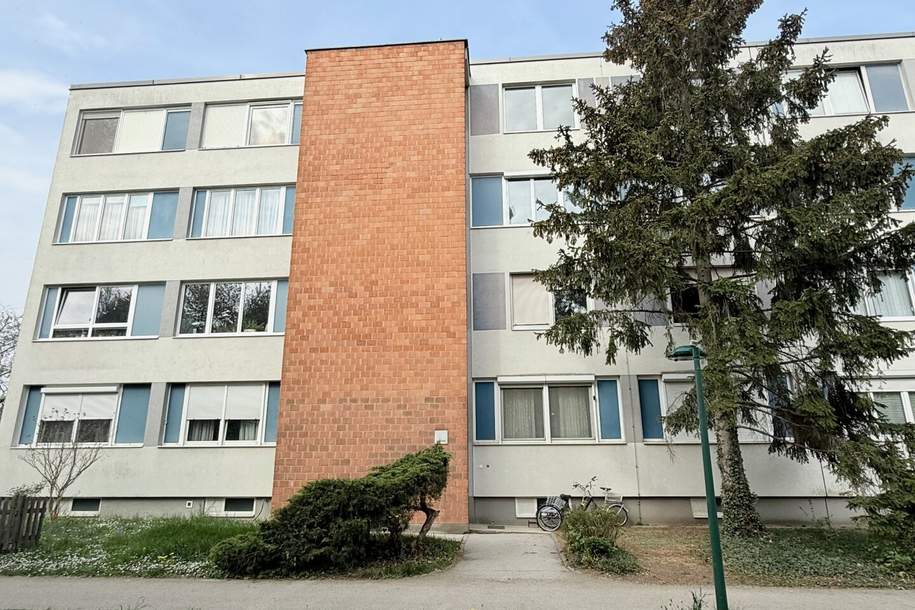 Sanierungsbedürftige 3-Zimmer-Wohnung in ruhiger Grünlage der Südstadt, Wohnung-kauf, 230.000,€, 2344 Mödling