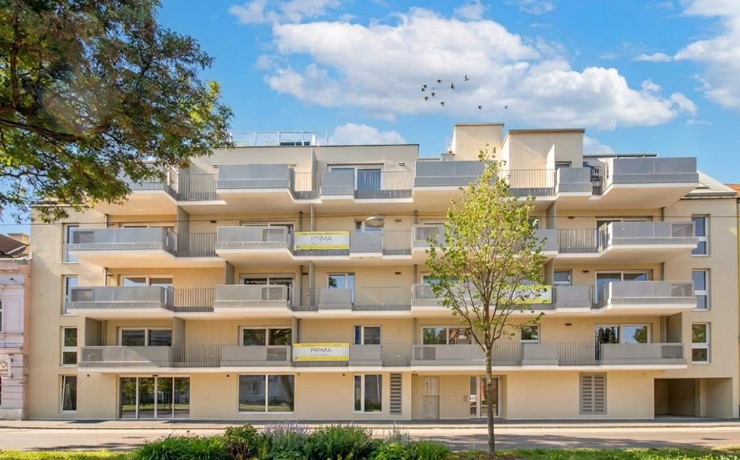 LICHT, RAUM & MAISONETTE ++ im Projekt KARL74