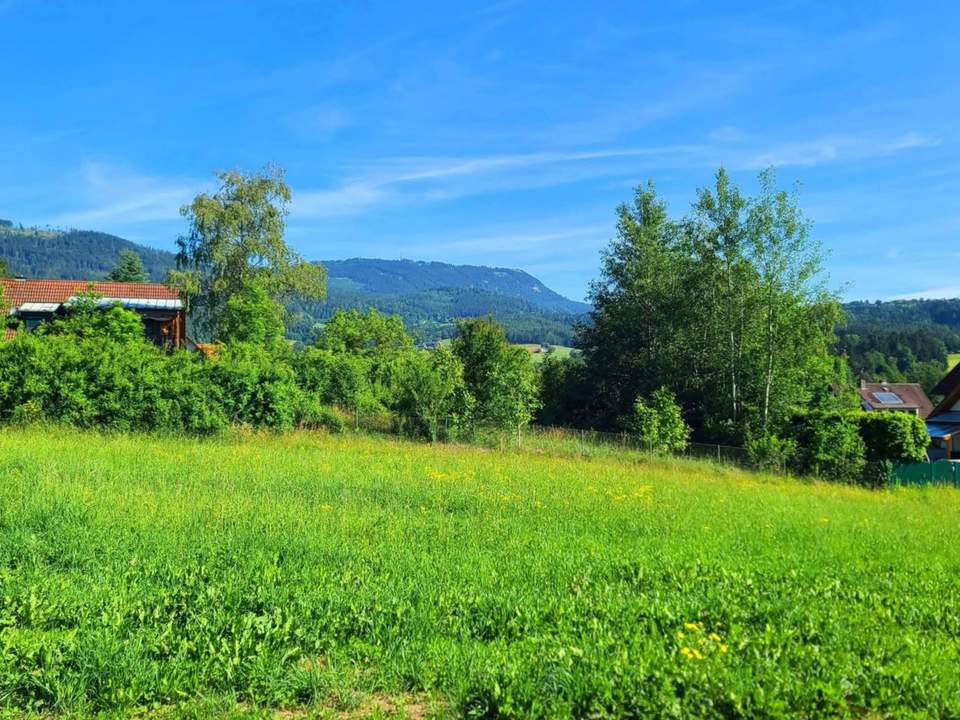 Sonnenlage am Waldrand, Schöcklblick, aufgeschlossen & frei von Servituten (1 in Verhandlung/1 frei)