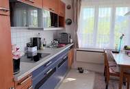 Traumhafte Lage am Frohnberg in Miesenbach - Weitblick, Ruhe und Erholung auf 91m², 3-4 Zi., Balkon, Terrasse