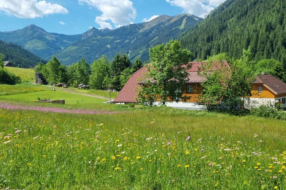 Traumhaftes Baugrundstück in Donnersbachwald Nähe Riesneralm (Provisionsfrei), Grund und Boden-kauf, 298.000,€, 8952 Liezen